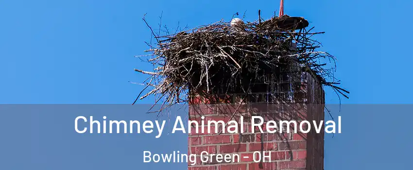 Chimney Animal Removal Bowling Green - OH