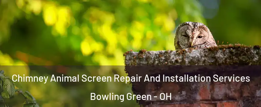  Chimney Animal Screen Repair And Installation Services Bowling Green - OH