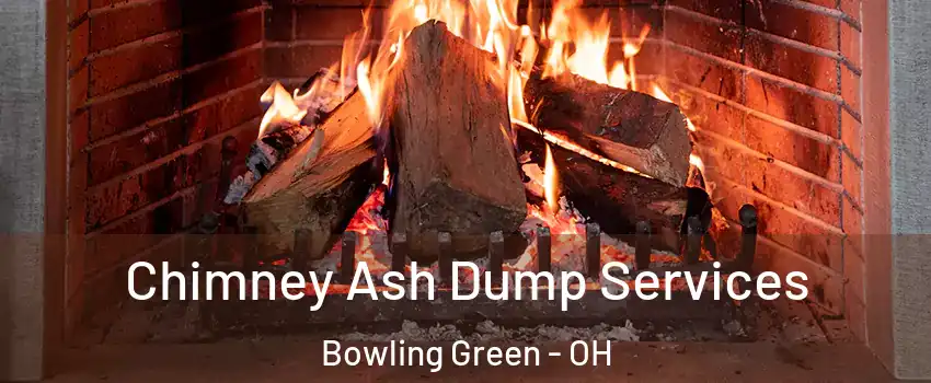  Chimney Ash Dump Services Bowling Green - OH