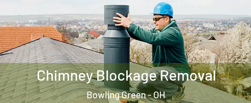  Chimney Blockage Removal Bowling Green - OH