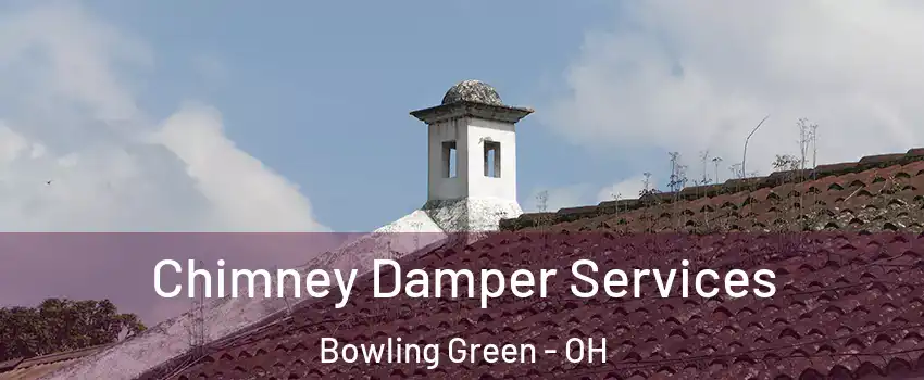  Chimney Damper Services Bowling Green - OH