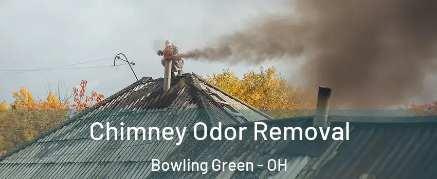  Chimney Odor Removal Bowling Green - OH