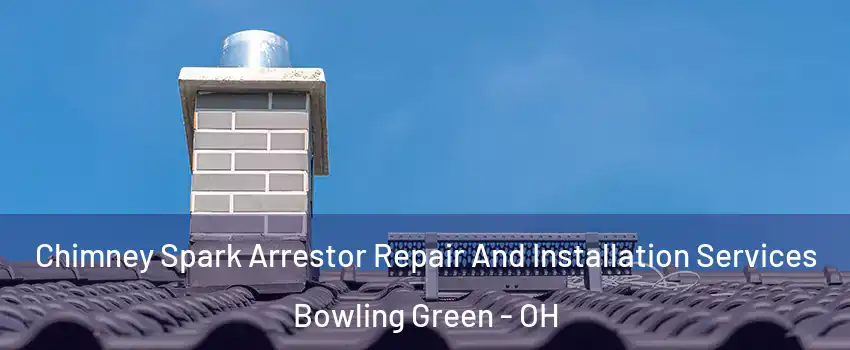  Chimney Spark Arrestor Repair And Installation Services Bowling Green - OH