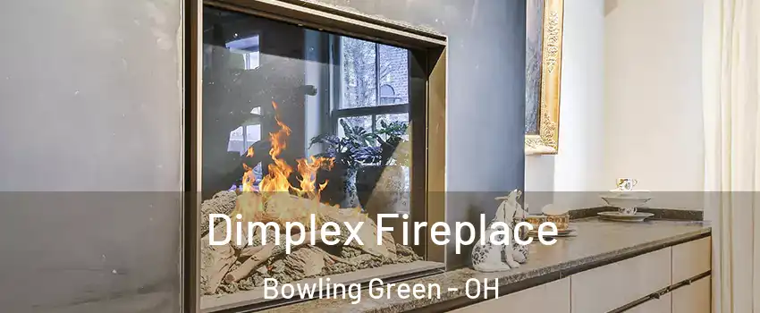  Dimplex Fireplace Bowling Green - OH