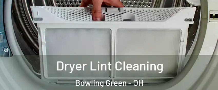  Dryer Lint Cleaning Bowling Green - OH