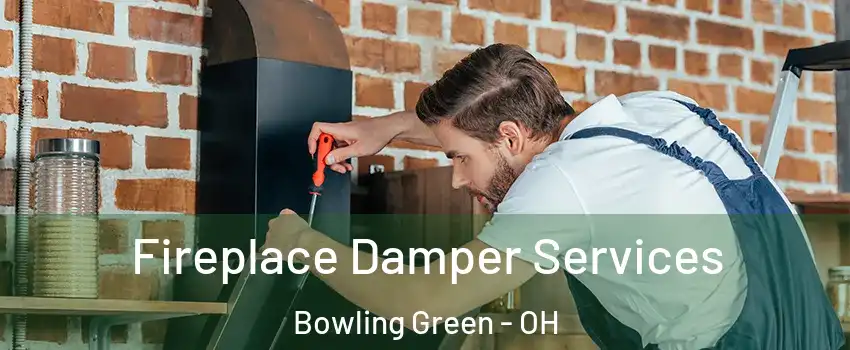  Fireplace Damper Services Bowling Green - OH