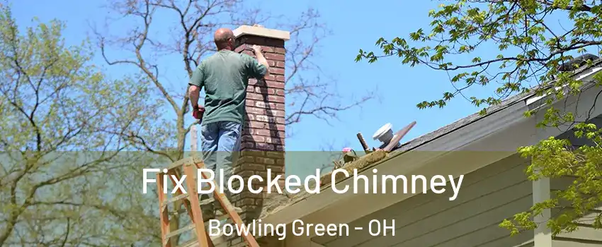  Fix Blocked Chimney Bowling Green - OH