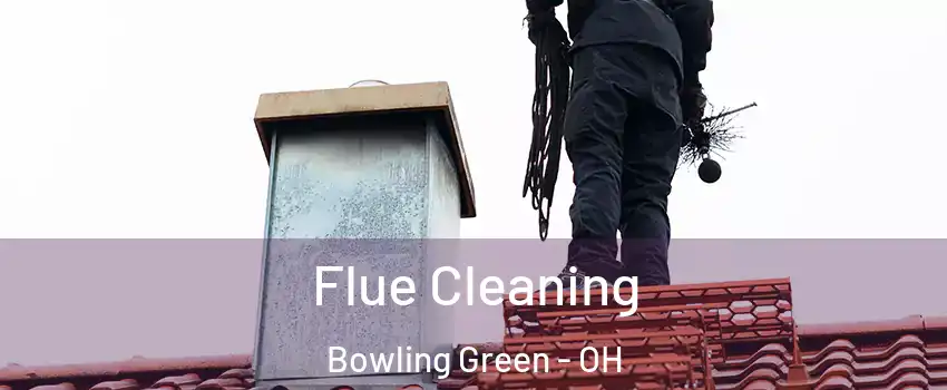  Flue Cleaning Bowling Green - OH