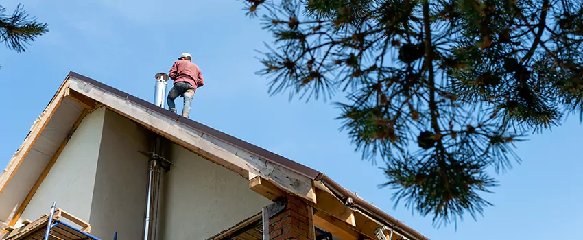 Birds Removal Contractors from Chimney in Bowling Green, OH
