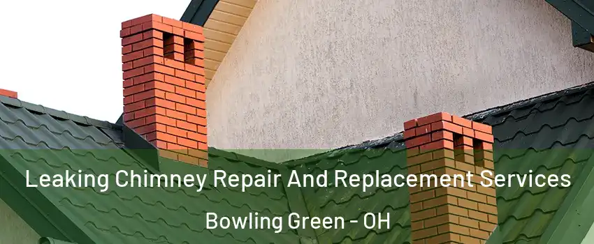  Leaking Chimney Repair And Replacement Services Bowling Green - OH