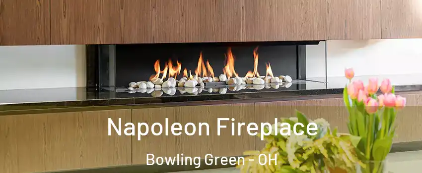  Napoleon Fireplace Bowling Green - OH