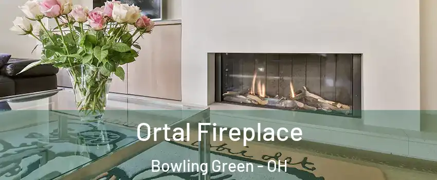  Ortal Fireplace Bowling Green - OH